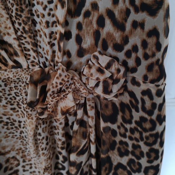 Sleeveless leopard print dress - Picture 5 of 6